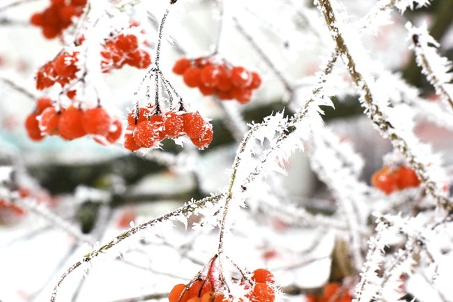 Winter Maintenance Tips & Tools